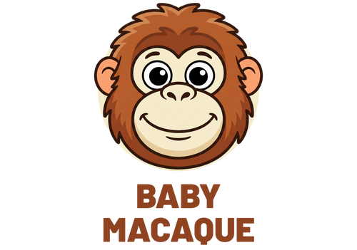 BabyMacaque